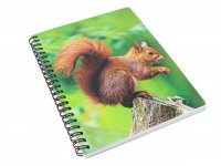 3D Notizbuch - Eichhörnchen - groß