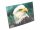 3D Postkarte Weißkopfseeadler