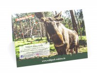 Wildpark Müden - Gutschein für eine Jahreskarte Familie (2 Erwachsene + 2 Kinder)