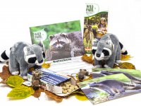 Wildpark Müden - Geschenkset Waschbär MAX
