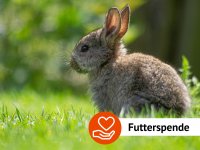 Futterspende: Lundi - Kaninchen Zucht und Haltung - 20 kg Wildpark Müden
