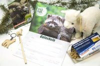 Wildpark Müden - Geschenkset Alpaka Alice