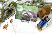 Wildpark Müden - Geschenkset Alpaka Alma, Wilma
